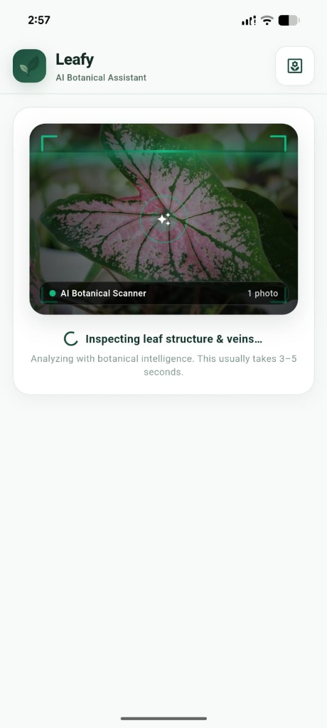 Leafy Live Scanner